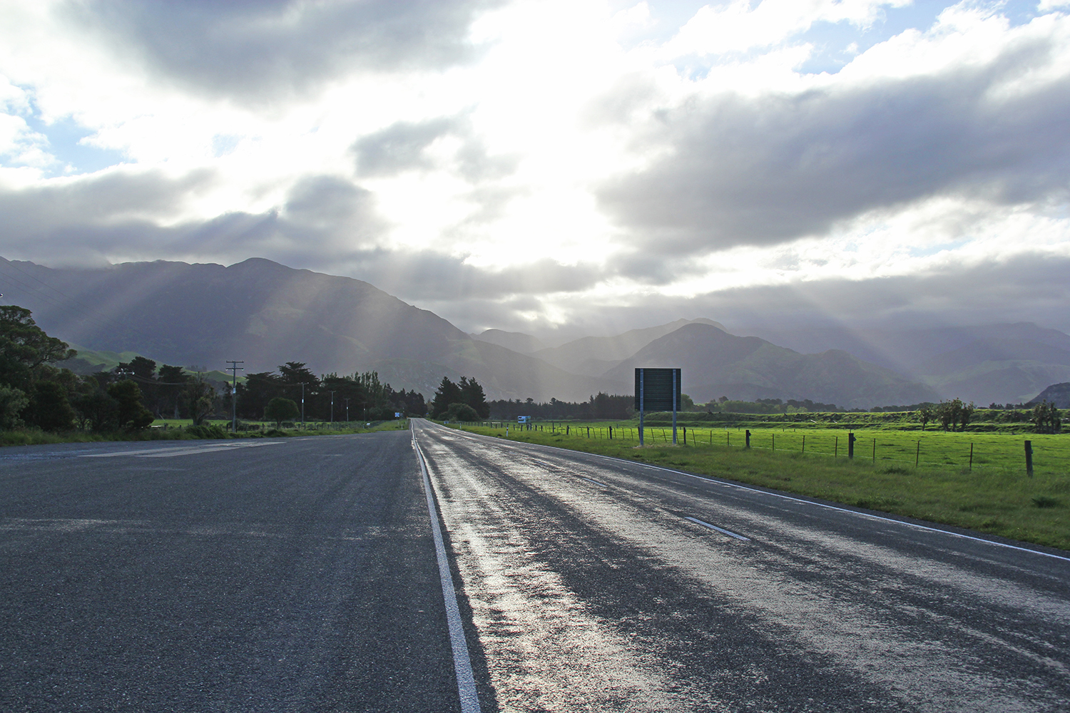 how to drive a car in new zealand